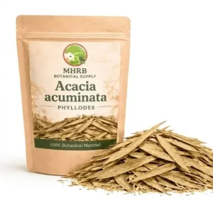 Acacia Acuminata Phyllodes