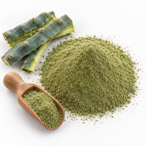 Peruvian Torch Cactus Powder (Trichocereus peruvianus)