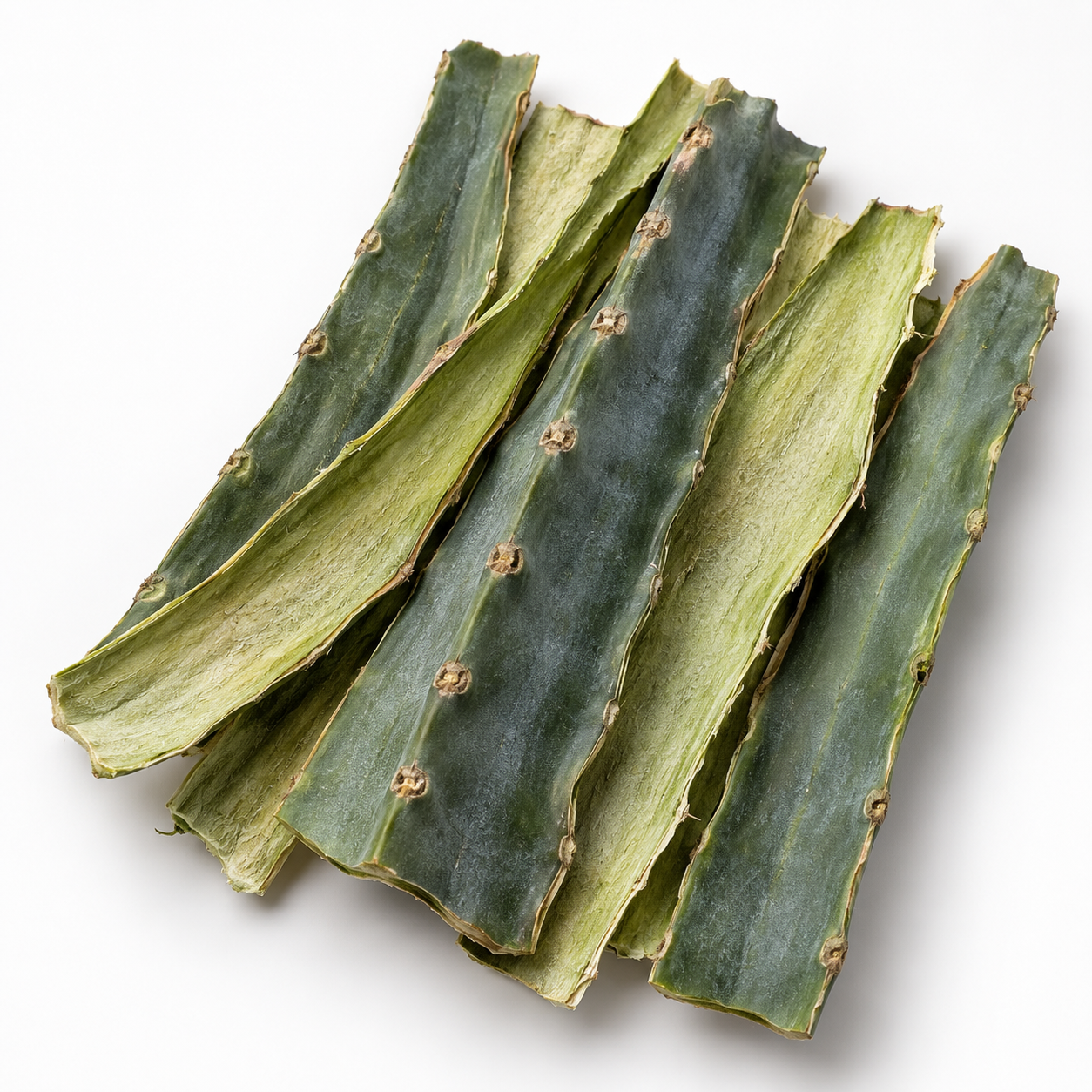 Dried strips of Peruvian Torch Cactus skin